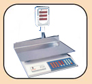 Price Computing Scale.