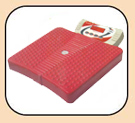Home Cum Personal Scale.